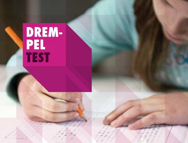 Drempeltest, Tussentest, LMT: leerlingprofielen en groepsoverzichten nu als pdf