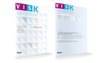 VISK