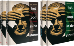 Het oog in de storm