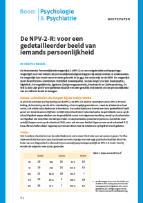 De NPV-2-R: voor een gedetailleerder beeld van iemands persoonlijkheid