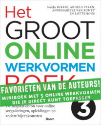 Gratis miniboek met 5 online werkvormen