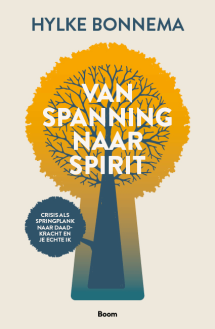 Van spanning naar spirit