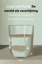 De-wereld-als-verschijning-fenomenologie