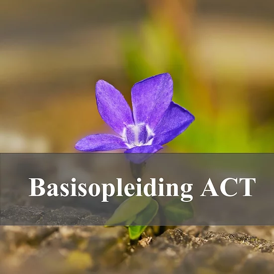 Basisopleiding ACT