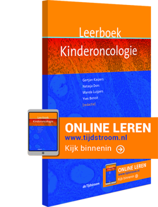 Online leeromgeving