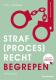 Straf(proces)recht begrepen