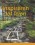 Inspireren tot leren